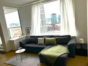 SKAU Panorama Family & Business Apartment City View Free Parking